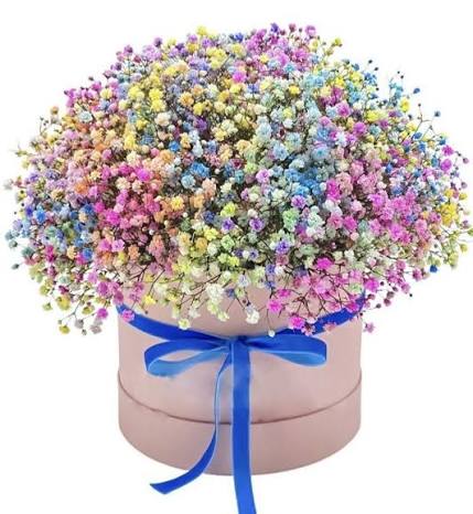 Rainbow dreams hat box